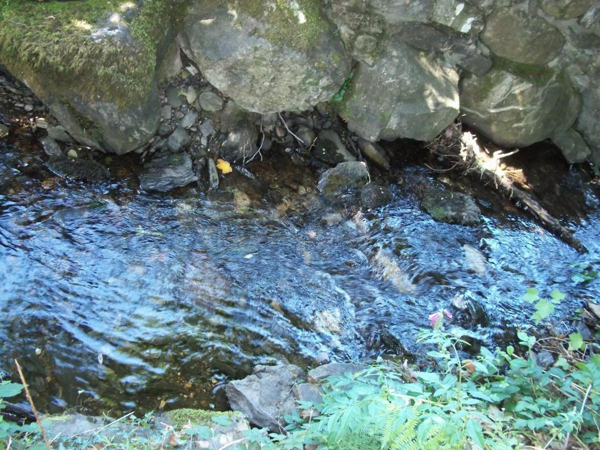 Glenwood Guesthouse Betws-Y-Coed Εξωτερικό φωτογραφία