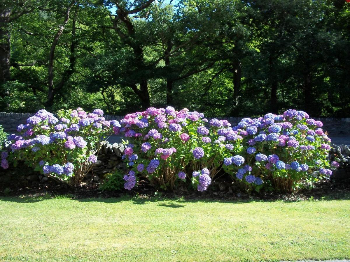 Glenwood Guesthouse Betws-Y-Coed Εξωτερικό φωτογραφία