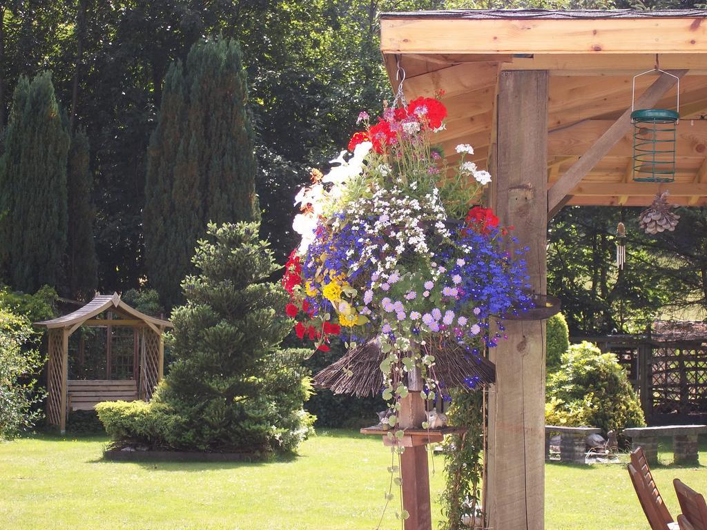 Glenwood Guesthouse Betws-Y-Coed Εξωτερικό φωτογραφία